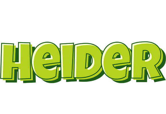 Heider summer logo
