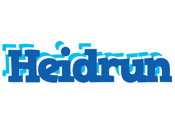 Heidrun business logo
