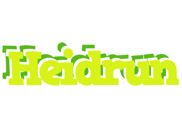 Heidrun citrus logo