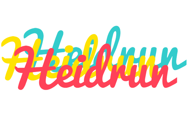 Heidrun disco logo