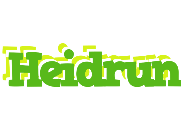 Heidrun picnic logo