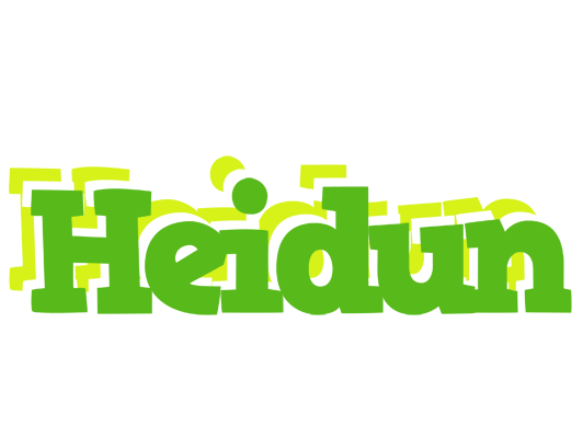 Heidun picnic logo