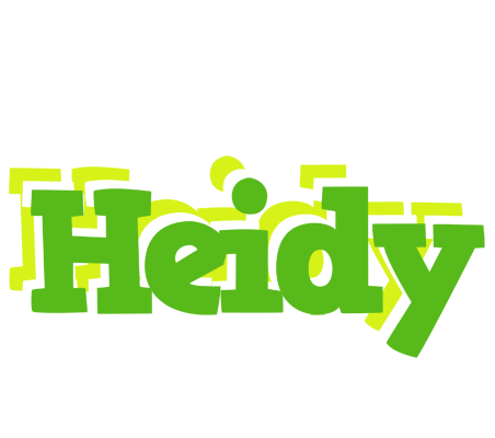 Heidy picnic logo