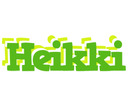 Heikki picnic logo