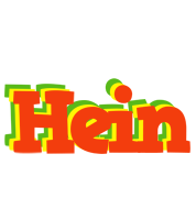 Hein bbq logo