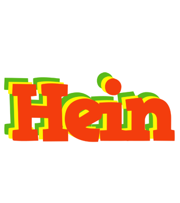 Hein bbq logo