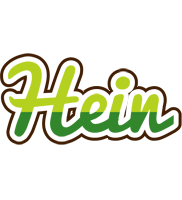 Hein golfing logo