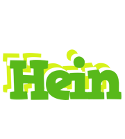 Hein picnic logo