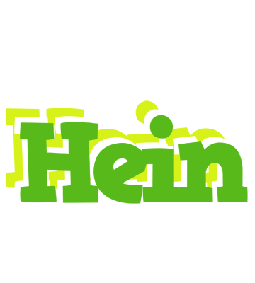 Hein picnic logo