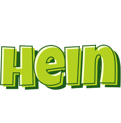 Hein summer logo