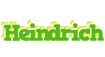 Heindrich picnic logo