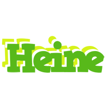 Heine picnic logo