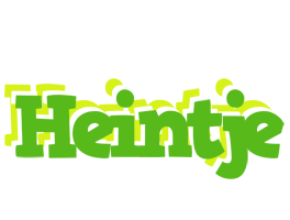 Heintje picnic logo