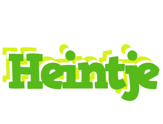 Heintje picnic logo