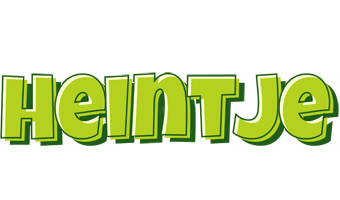 Heintje summer logo