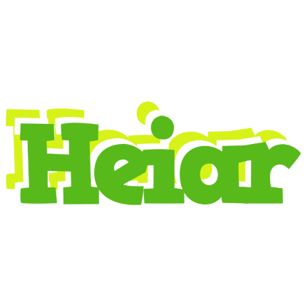 Heiðar picnic logo