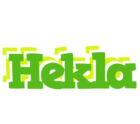 Hekla picnic logo