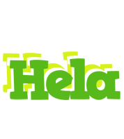 Hela picnic logo