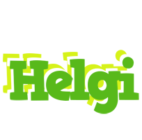 Helgi picnic logo