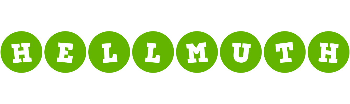 Hellmuth games logo