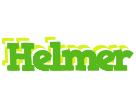 Helmer picnic logo