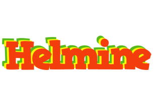 Helmine bbq logo