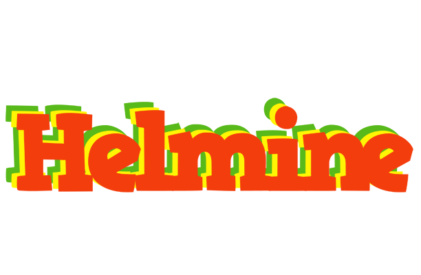 Helmine bbq logo