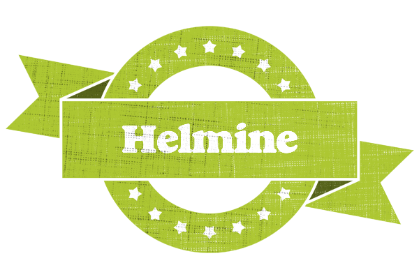 Helmine change logo