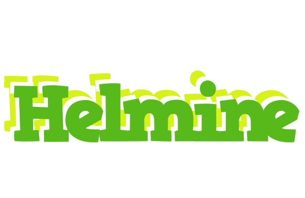 Helmine picnic logo