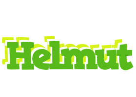 Helmut picnic logo