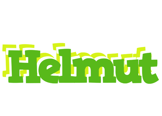 Helmut picnic logo