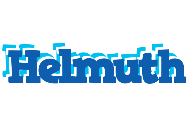 Helmuth business logo