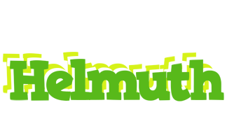 Helmuth picnic logo