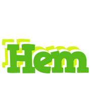 Hem picnic logo