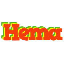 Hema bbq logo