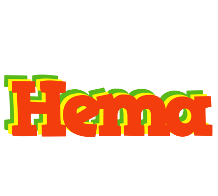 Hema bbq logo