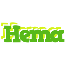 Hema picnic logo