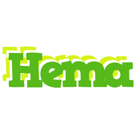 Hema picnic logo
