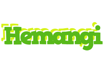 Hemangi picnic logo