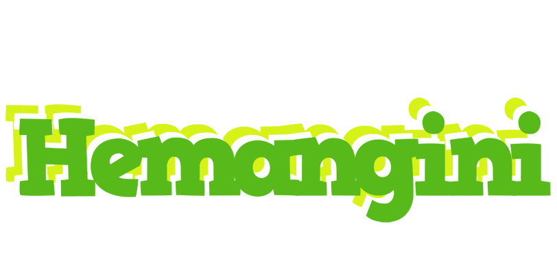 Hemangini picnic logo