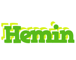 Hemin picnic logo