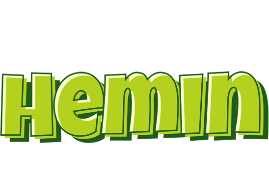 Hemin summer logo