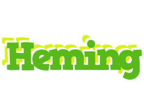 Heming picnic logo