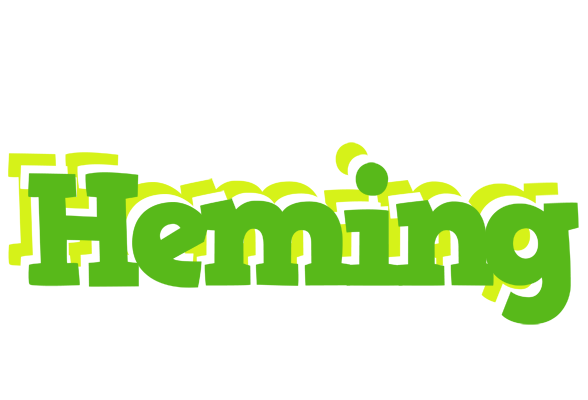 Heming picnic logo