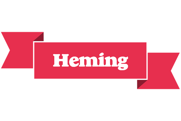 Heming sale logo