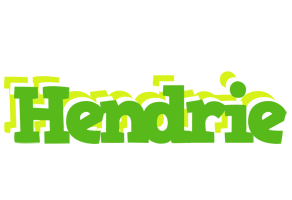 Hendrie picnic logo