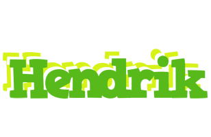 Hendrik picnic logo