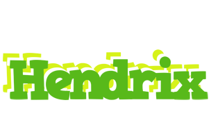 Hendrix picnic logo