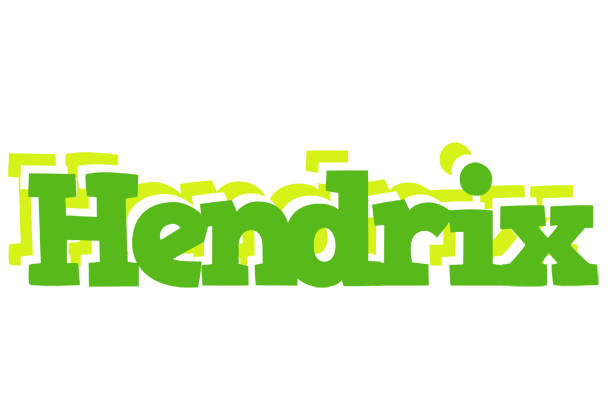 Hendrix picnic logo