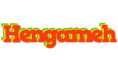 Hengameh bbq logo